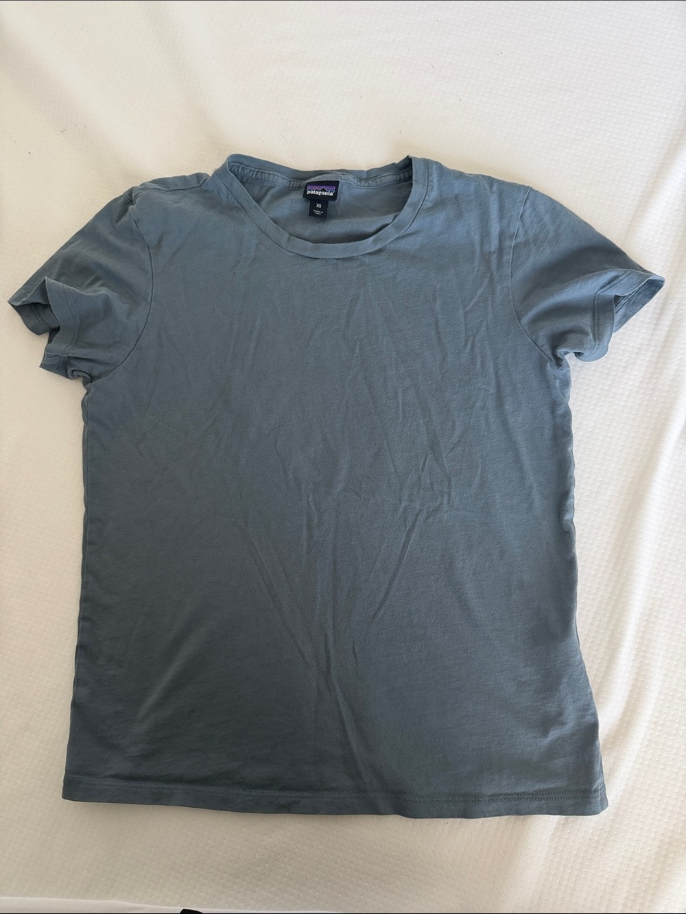 Patagonia 💯 cotton Women’s Short Sleeve Tee — Slate Blue-Grey